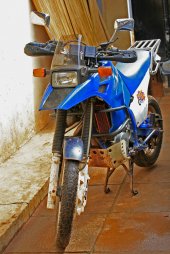 1991 Suzuki DR Big 800 S (reduced effect) photo